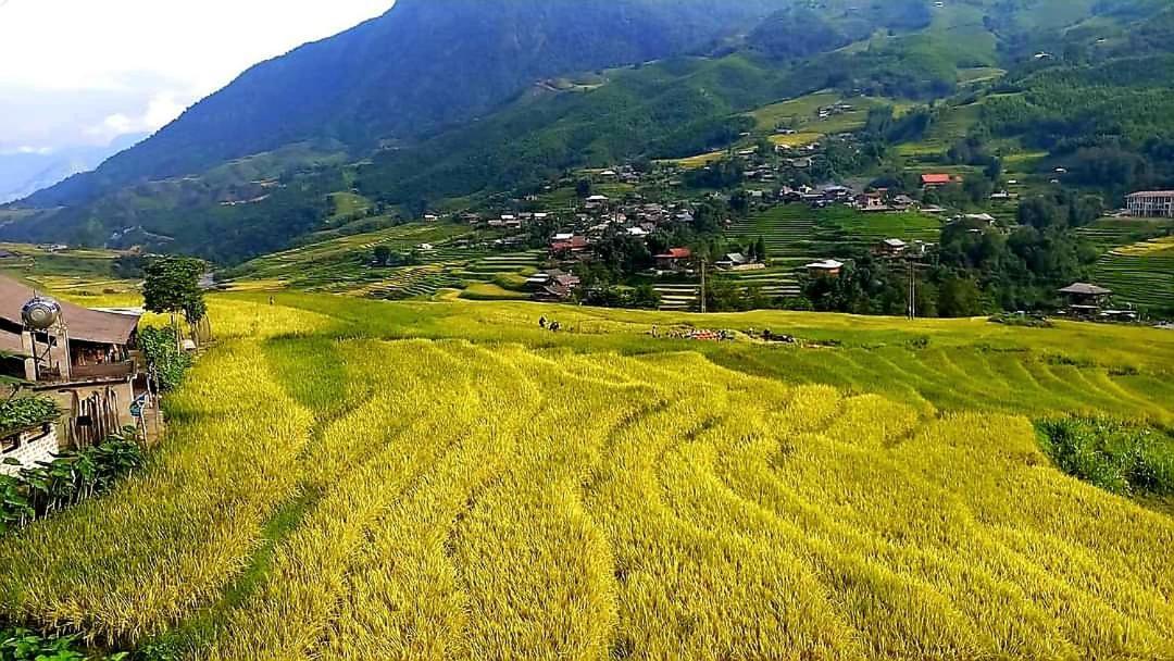 Tavan Dragon House Lao Cai Bagian luar foto