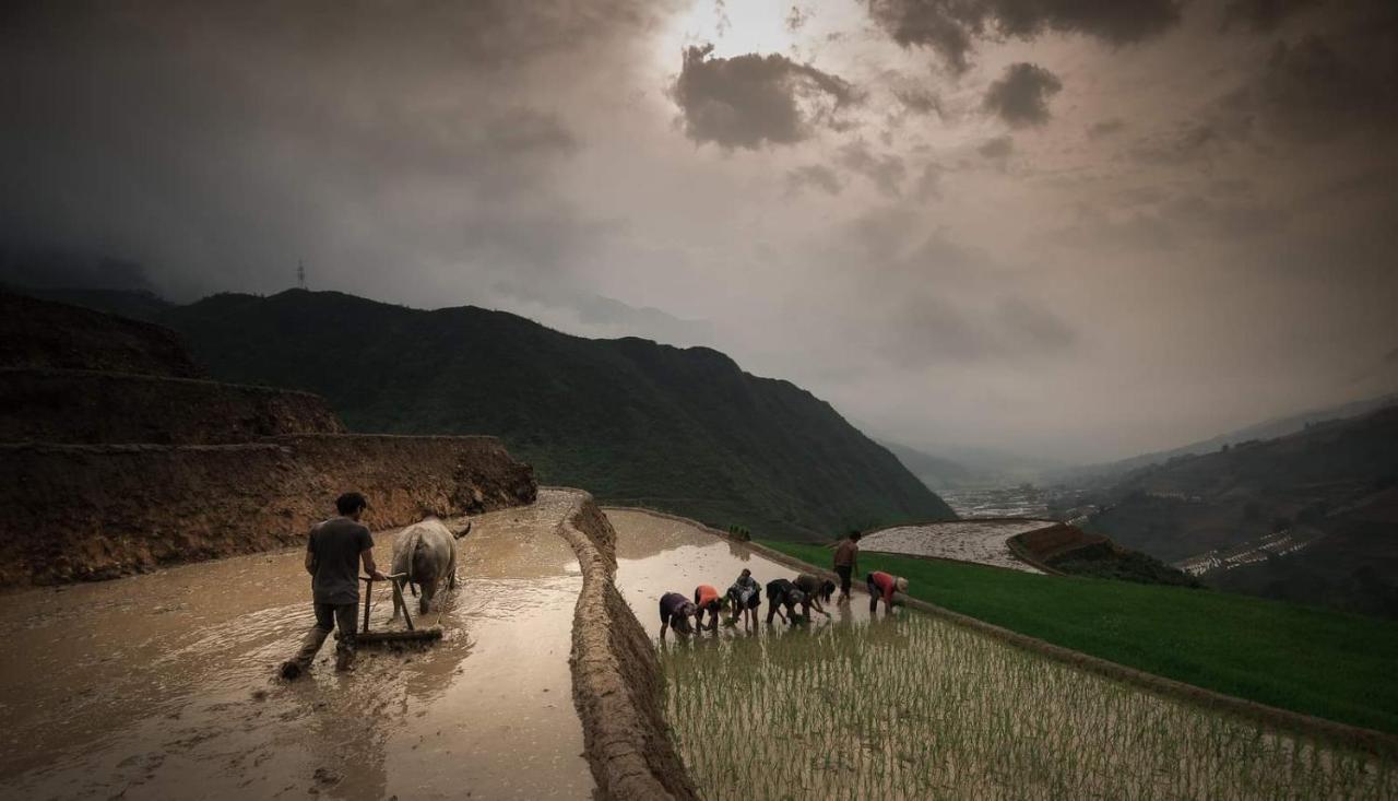 Tavan Dragon House Lao Cai Bagian luar foto
